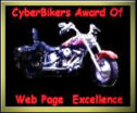 Cyber Biker Award